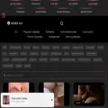 hdsikis.net