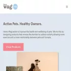 henrywag.com henrywag.com