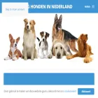 hhin.nl hhin.nl