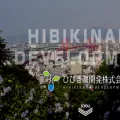hibikidev.co.jp