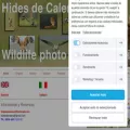 hidesdecalera.com