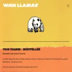 highllamas.com highllamas.com
