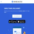hivemicro.com