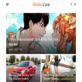holtecast.com