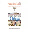 homesteadlady.com