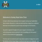 honleymvc.co.uk honleymvc.co.uk
