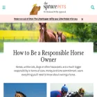 horses.about.com horses.about.com