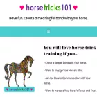 horsetricks101.com horsetricks101.com