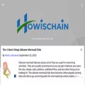 howischain.com howischain.com