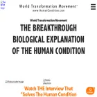 humancondition.info humancondition.info
