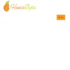hunzabytes.com.au hunzabytes.com.au