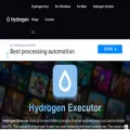 hydrogenexecutor.com