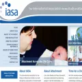 iasa-dmm.org