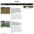 ibilingua.com ibilingua.com
