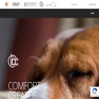 icc-rsf.com