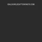 idalouwildcattowingtx.com