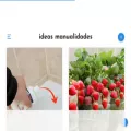 ideasymanualidades.net