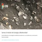 ieb-chile.cl