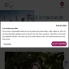 ieqt.org ieqt.org