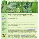 iewf.org