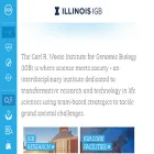 igb.illinois.edu igb.illinois.edu