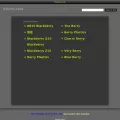 iiberry.com