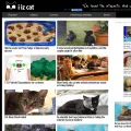 iizcat.com iizcat.com