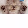 i-love-cats.com
