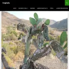 imaginalia.com imaginalia.com