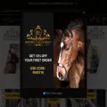 imperialequestrian.co.uk
