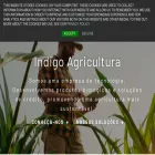 indigoag.com.br indigoag.com.br