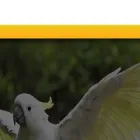 indonesian-parrot-project.org indonesian-parrot-project.org