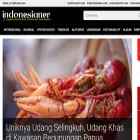 indonesianer.com indonesianer.com