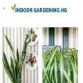 indoorgardeninghq.com