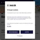 info.skat.dk info.skat.dk