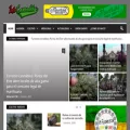 infocannabismagazine.com
