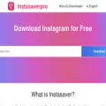 instasaverpro.com instasaverpro.com