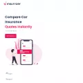 insuryzer.com