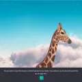 interactanalysis.com interactanalysis.com