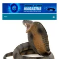 internet-security-magazine.com internet-security-magazine.com