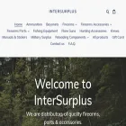 intersurplus.com intersurplus.com