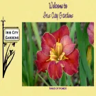 iriscitygardens.com iriscitygardens.com