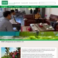 irri.org irri.org