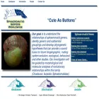 isopods.nhm.org isopods.nhm.org