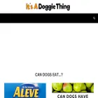 itsadoggiething.com