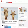 iwebask.com iwebask.com