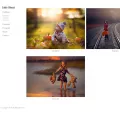 jakeolsontutorials.com jakeolsontutorials.com