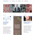 japundit.com japundit.com