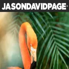 jasondavidpage.com