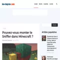 jeu-bayrou.com